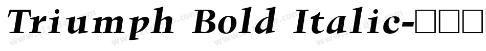 Triumph Bold Italic字体转换
